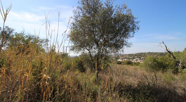 Image No.18-Plot for sale