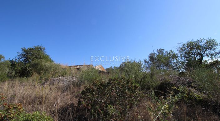 Image No.23-Plot for sale