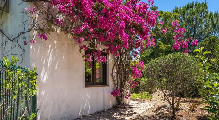 Image No.26-Villa de 3 chambres à vendre à Portimao