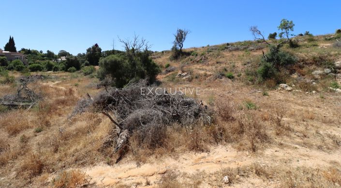 Image No.14-Terrain à vendre à Lagoa