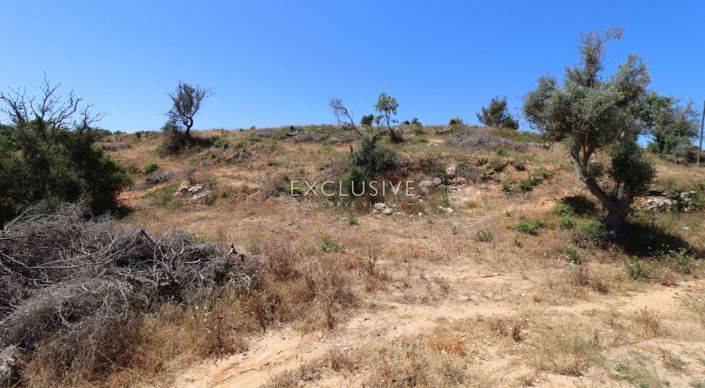 Image No.16-Terrain à vendre à Lagoa