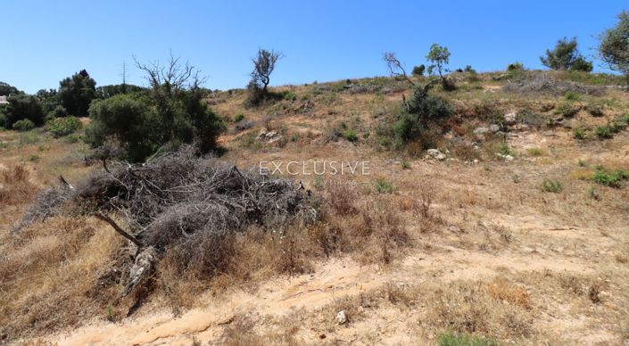 Image No.17-Terrain à vendre à Lagoa