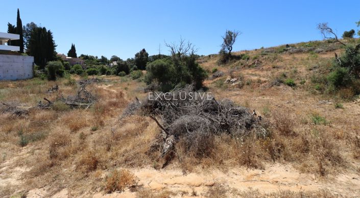 Image No.18-Terrain à vendre à Lagoa