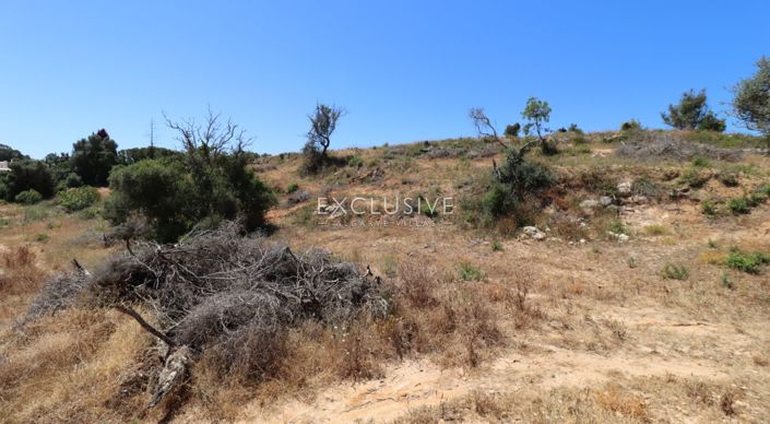 Image No.25-Terrain à vendre à Lagoa