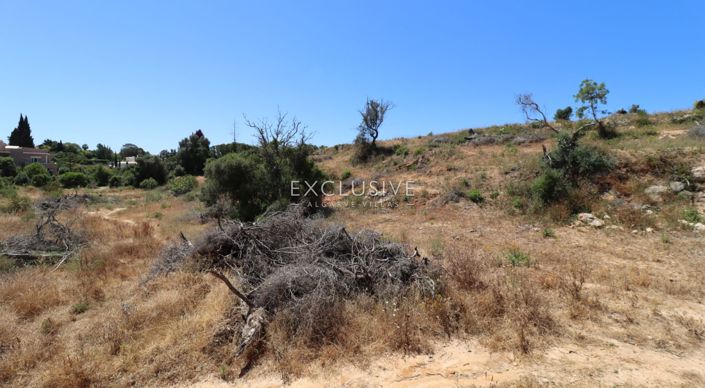 Image No.26-Terrain à vendre à Lagoa
