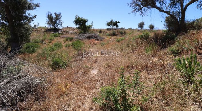 Image No.16-Terrain à vendre à Lagoa