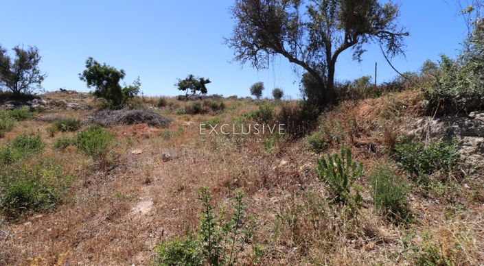 Image No.18-Terrain à vendre à Lagoa