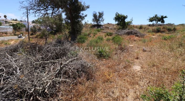 Image No.19-Terrain à vendre à Lagoa