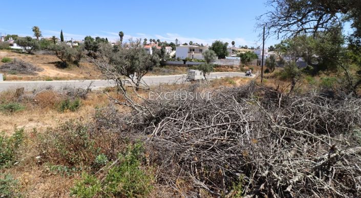 Image No.21-Terrain à vendre à Lagoa