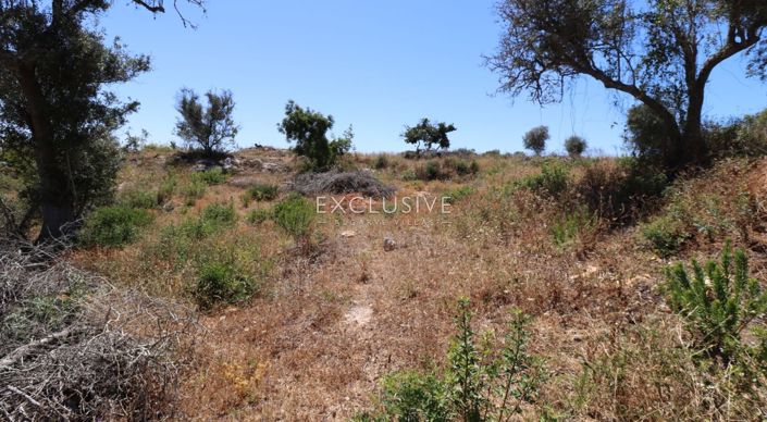 Image No.25-Terrain à vendre à Lagoa