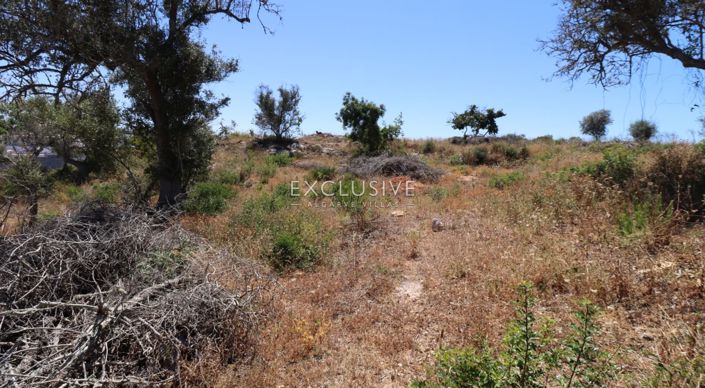 Image No.26-Terrain à vendre à Lagoa