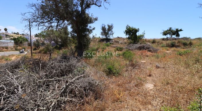 Image No.27-Terrain à vendre à Lagoa