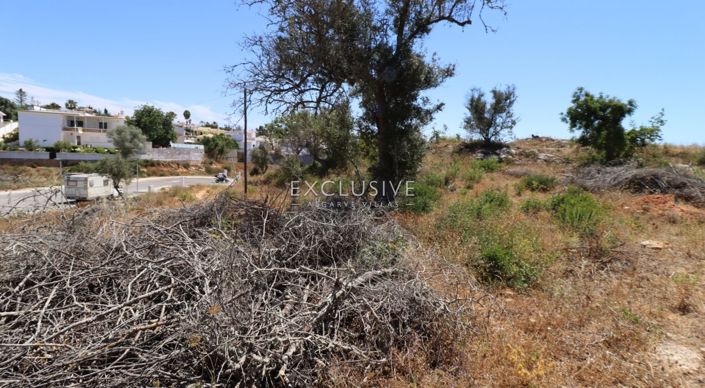 Image No.28-Terrain à vendre à Lagoa