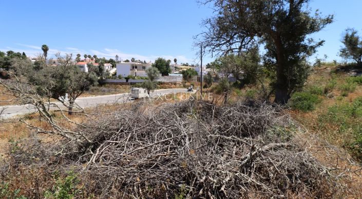 Image No.29-Terrain à vendre à Lagoa