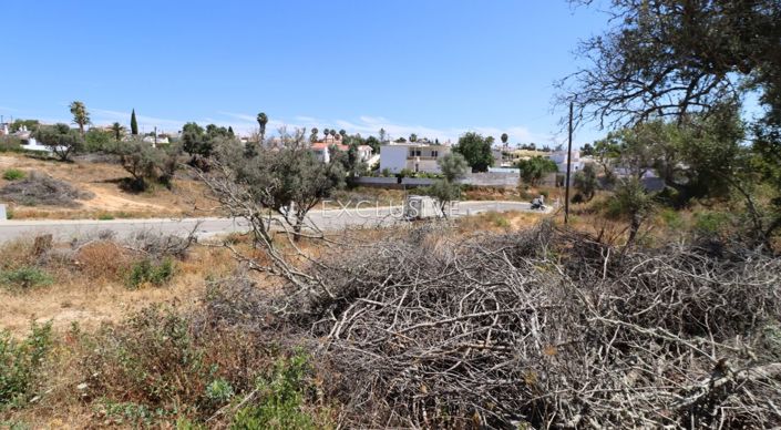 Image No.30-Terrain à vendre à Lagoa