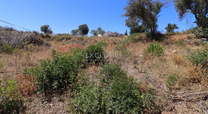 Image No.15-Terrain à vendre à Lagoa