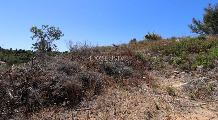 Image No.18-Terrain à vendre à Lagoa