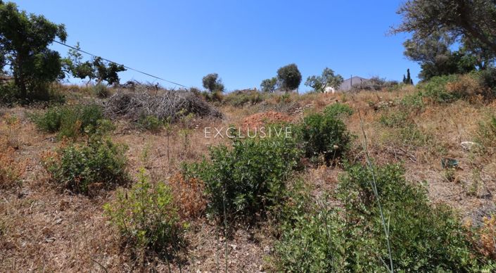 Image No.19-Terrain à vendre à Lagoa