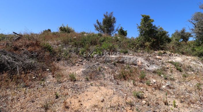 Image No.21-Terrain à vendre à Lagoa