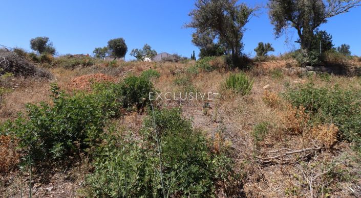 Image No.23-Terrain à vendre à Lagoa