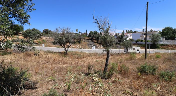 Image No.26-Terrain à vendre à Lagoa