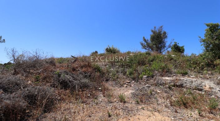 Image No.29-Terrain à vendre à Lagoa