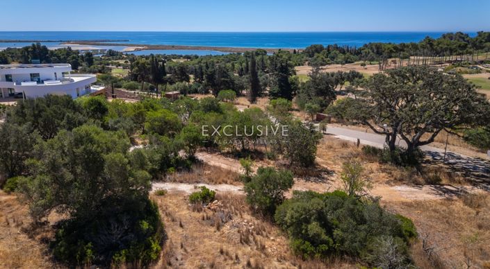 Image No.28-Plot for sale