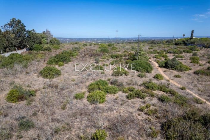 Image No.29-Plot for sale