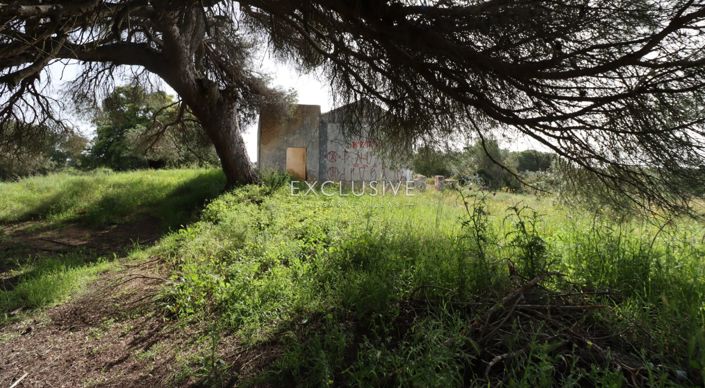 Image No.10-Terrain à vendre à Lagoa