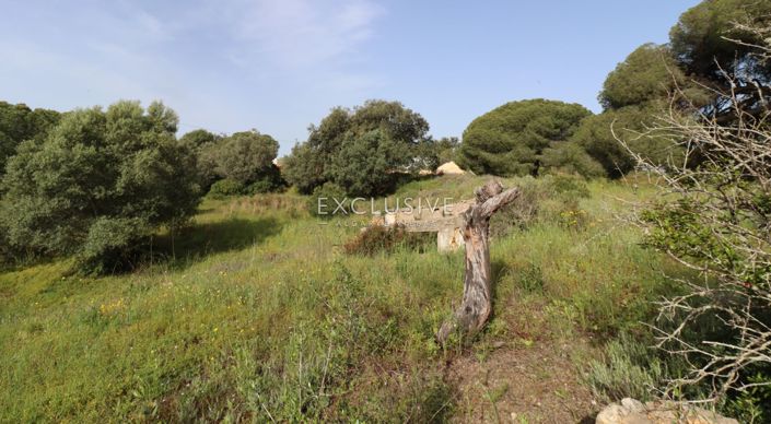 Image No.11-Terrain à vendre à Lagoa