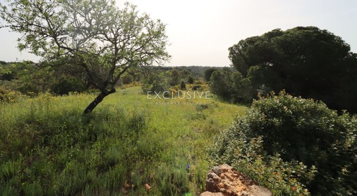 Image No.12-Terrain à vendre à Lagoa