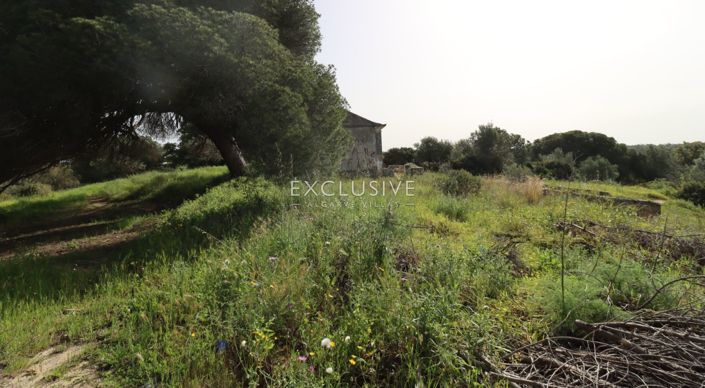 Image No.30-Terrain à vendre à Lagoa