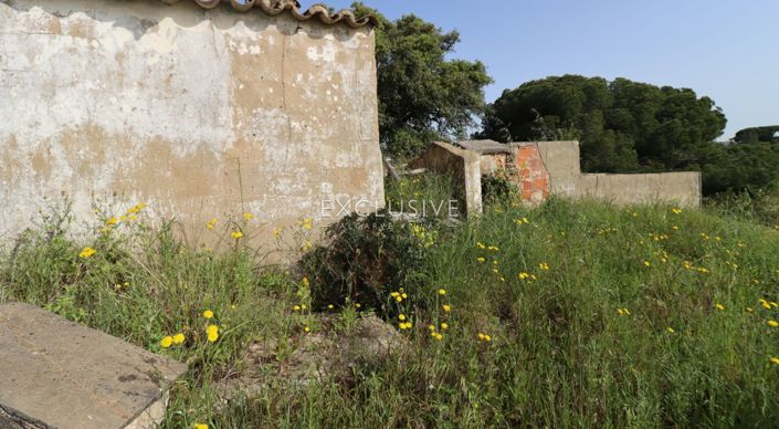 Image No.21-Terrain à vendre à Lagoa