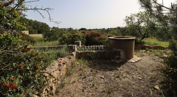 Image No.22-Terrain à vendre à Lagoa