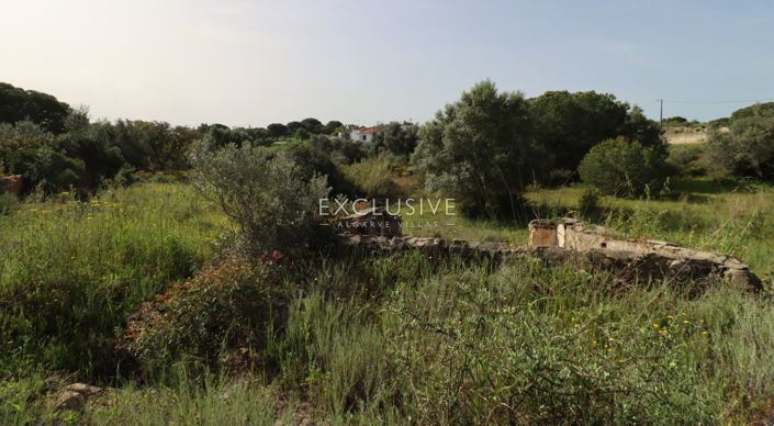 Image No.31-Terrain à vendre à Lagoa