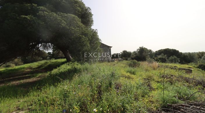 Image No.34-Terrain à vendre à Lagoa