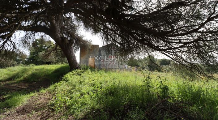 Image No.35-Terrain à vendre à Lagoa