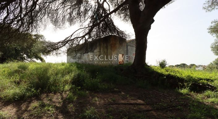 Image No.36-Terrain à vendre à Lagoa