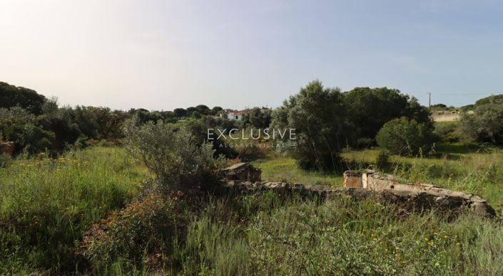 Image No.37-Terrain à vendre à Lagoa