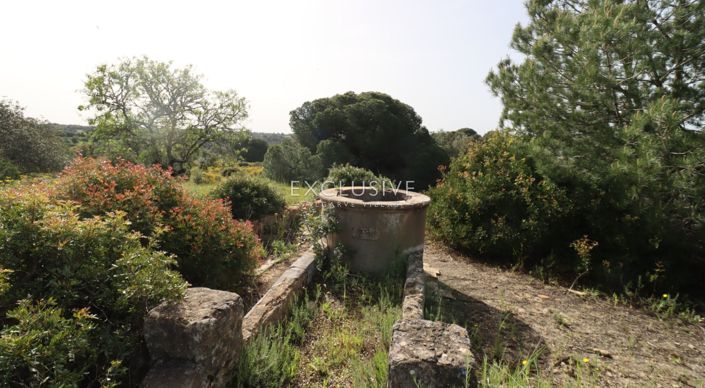 Image No.41-Terrain à vendre à Lagoa