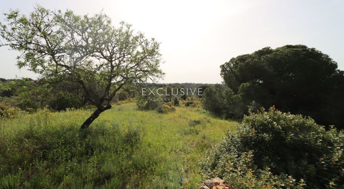 Image No.42-Terrain à vendre à Lagoa