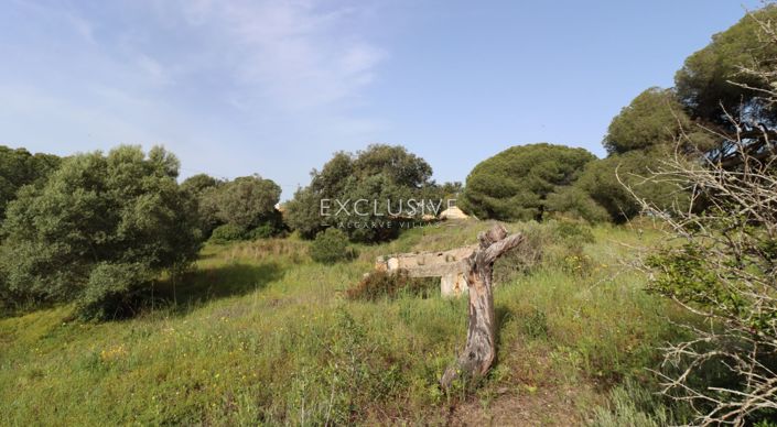 Image No.44-Terrain à vendre à Lagoa