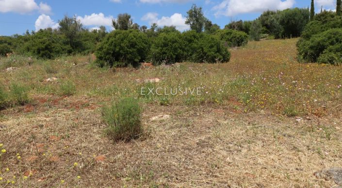 Image No.1-Plot for sale