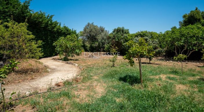 Image No.33-Villa de 6 chambres à vendre à Lagoa