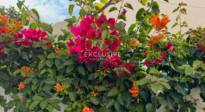 Image No.23-Maison de ville de 1 chambre à vendre à Lagoa