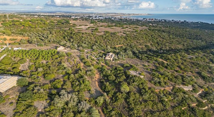 Image No.6-Terrain à vendre à Lagoa