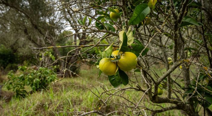 Image No.18-Villa de 3 chambres à vendre à Lagoa