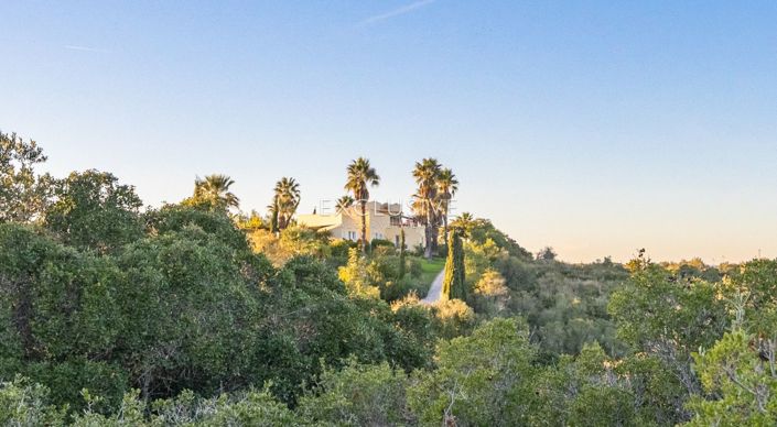 Image No.44-Villa for sale