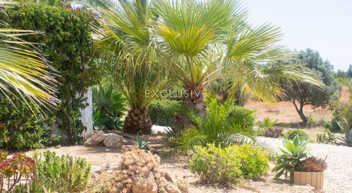Image No.17-4 Bed Villa for sale