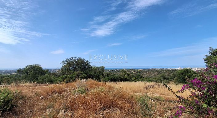 Image No.4-Plot for sale